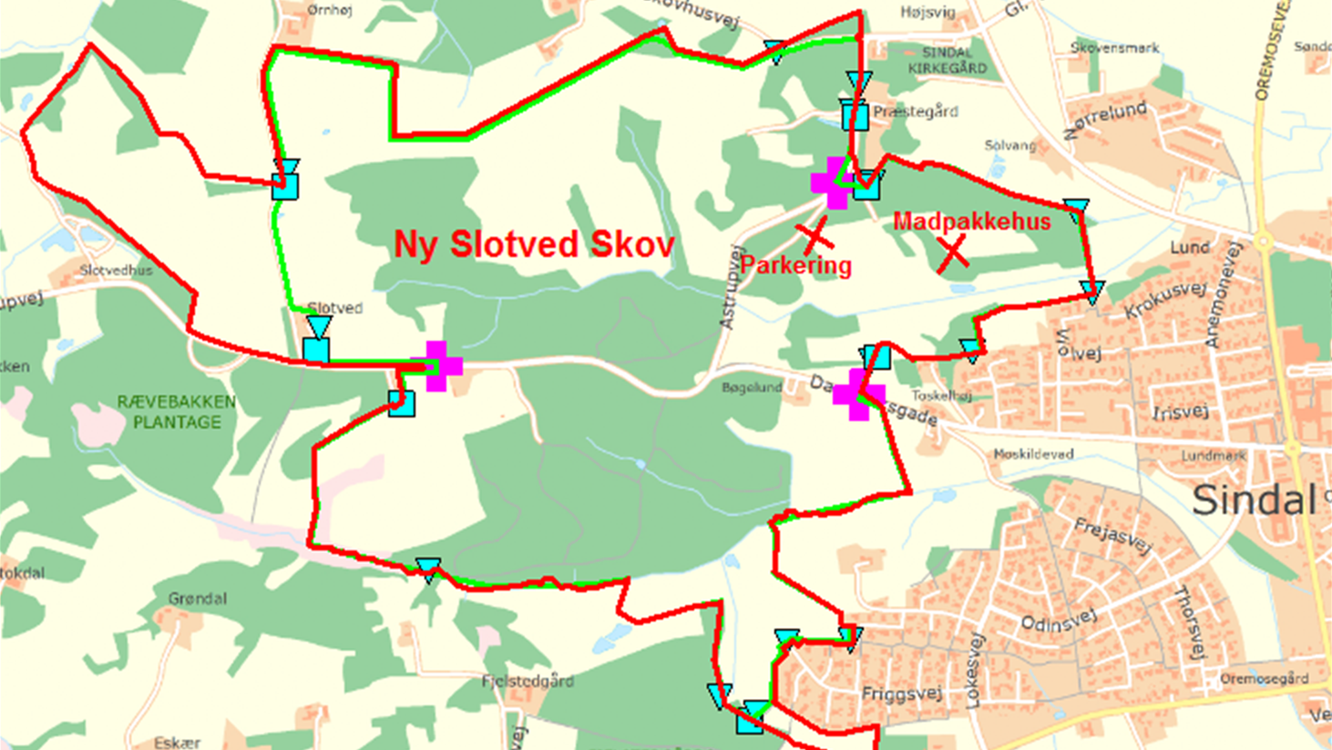 Slotved Skov og Dyrehave ved Sindal